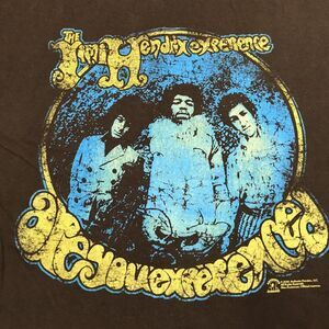Vintage JIMI HENDRIX Shirt Men L Brown Are You Experienced Cover ZION ROOTSWEAR